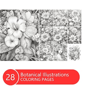 Botanical Illustrations Coloring Book: 28 Grayscale Pages (Printable PDF File)
