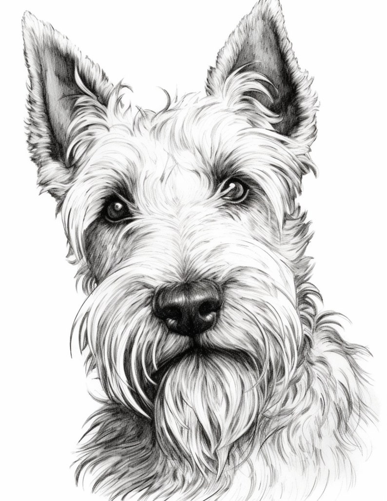 50 Dogs Coloring Pages Digital Download Page Printable - Etsy