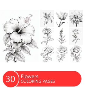 Flowers Coloring Book: 30 Grayscale Floral Pages (Printable PDF)