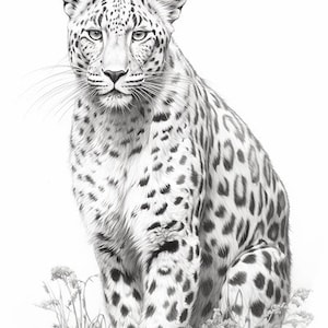 Puede incluir: Un detallado dibujo a l&aacute;piz en blanco y negro de un leopardo sentado en hierba alta. El pelaje del leopardo est&aacute; moteado con manchas oscuras, y sus ojos est&aacute;n fijos hacia adelante. La obra de arte es una representaci&oacute;n realista del animal.