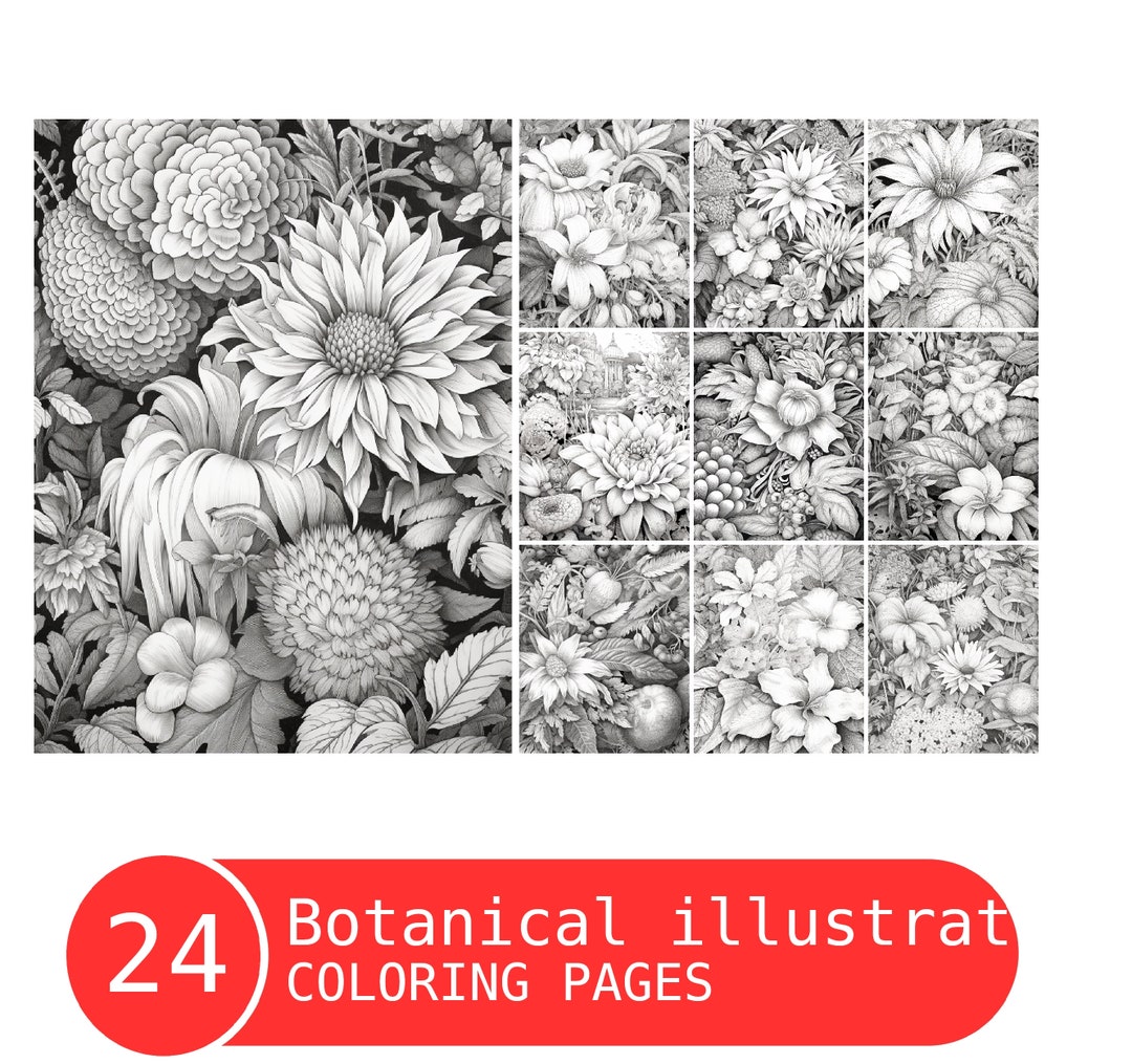 Botanical Illustrations Vol 2 Coloring Book for Adults and Kids ...