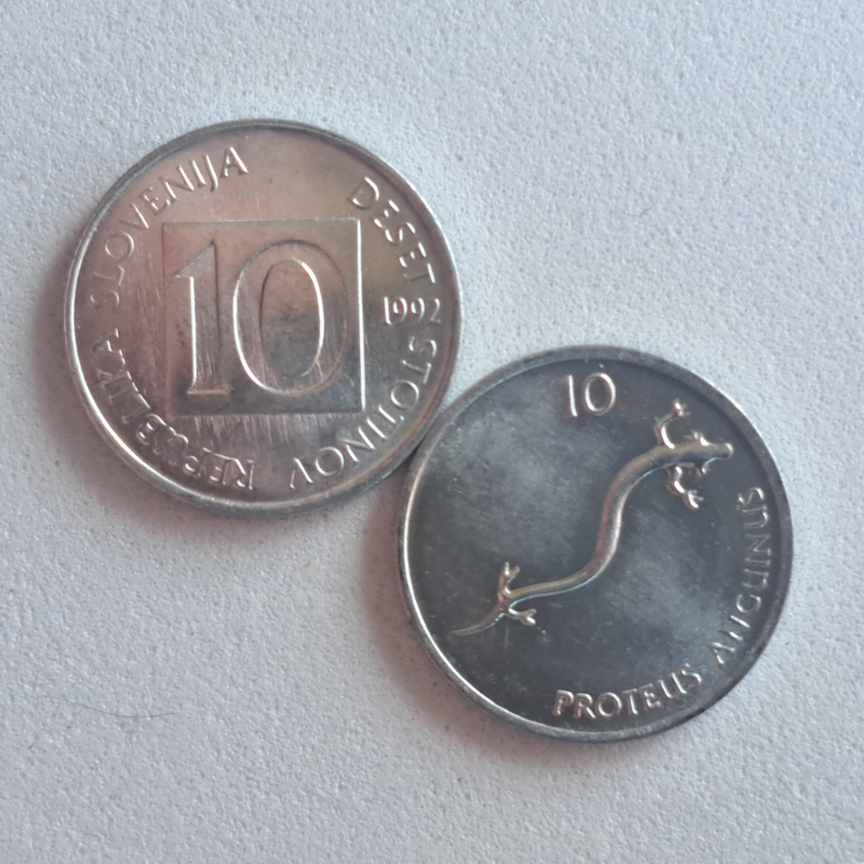 SLOVENIA 10 Stotinov Coin; UNCIRCULATED From 1992; KM-7; Features the Olm  Salamander - Etsy
