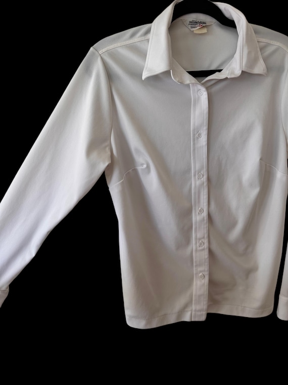70's Dagger Collar Button Down Blouse - image 3