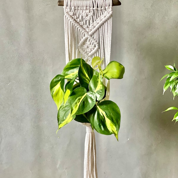 Macrame Plant Hanger Pattern, Plant Hanger pdf DIY, Tutorial Instructions, How To Plant Hanger, Macrame pot, Macrame Wall hanging