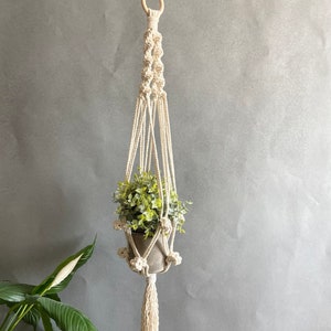Puede incluir: Un macetero de macramé blanco con un anillo de madera en la parte superior y una borla en la parte inferior. Una pequeña planta en maceta está colgando del macramé.
