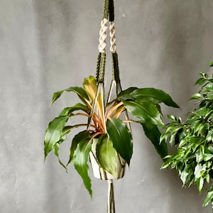 Colored Macrame Plant Hanger Pattern, Plant Hanger Easy Step by Step Instuctions, How To make Plant Hanger PDF Patern for Beginner