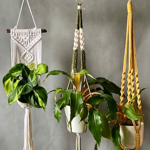 May include: Three macrame plant hangers with white, green, and yellow cords hanging from a wooden branch. The hangers are holding potted plants.