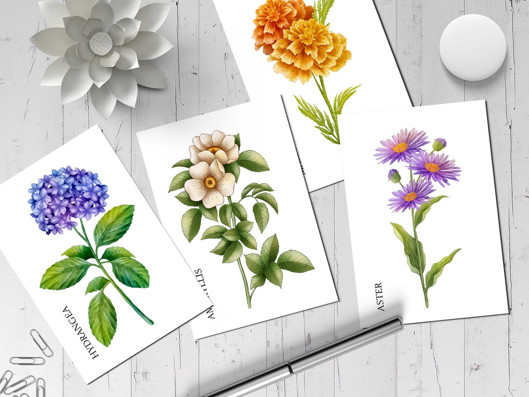 Postcard Set (27 Cards) Flowers Chart İllustration NT – 010 - Etsy