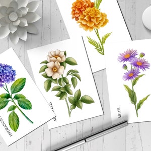 Juego de postales (27 tarjetas) Gráfico de flores İIllustration NT – 010