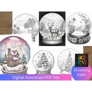 Snow Globe Madness - Nature, Animals, Christmas it&#39;s all here and more!