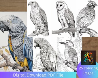 Feathered Beauties - A Captivating Bird Coloring Book