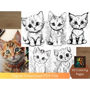 Adorable Cats - Get lost in a world of fluffy, adorable kittens