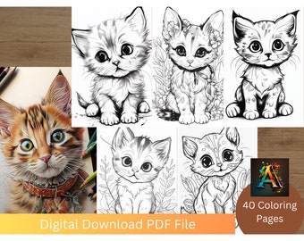 Adorable Cats - Get lost in a world of fluffy, adorable kittens