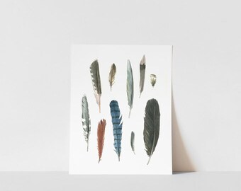 Impresión artística de plumas de aves de patio trasero