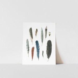 Impresión artística de plumas de aves de patio trasero