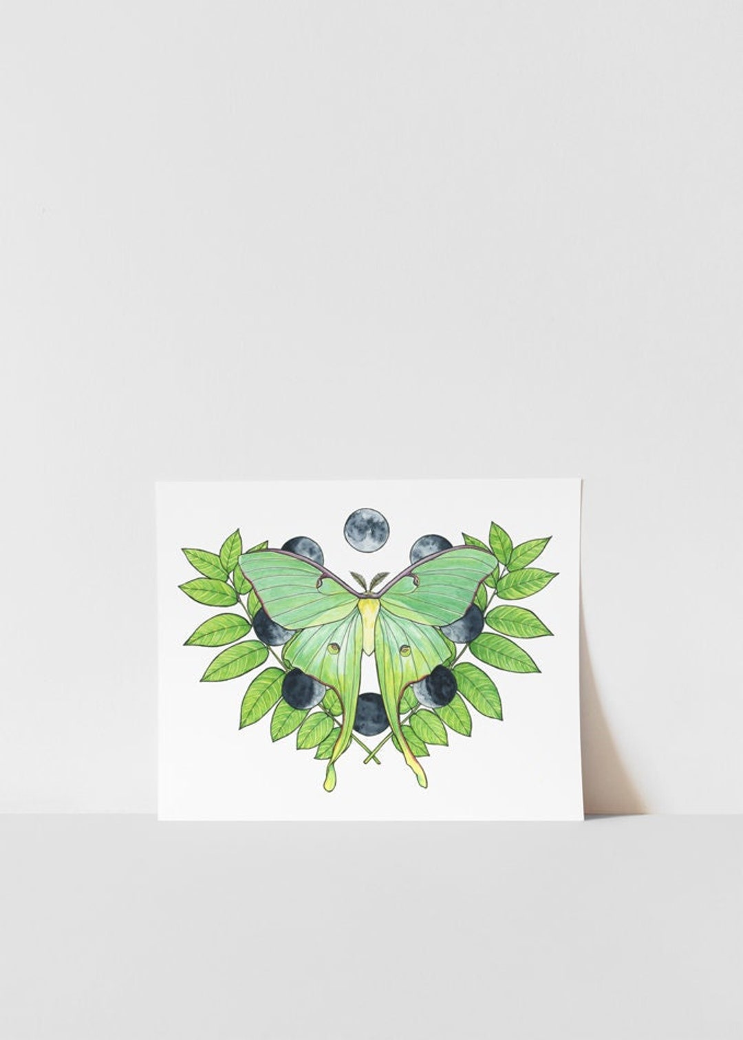 Luna Moth Fine Art Print - Etsy
