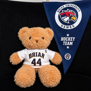 May include: A tan plush teddy bear wearing a white t-shirt with the text BRIAR 44 and a small C on the collar. Beside it is a dark blue triangular pennant featuring the Briar University Hawks logo and the text HOCKEY TEAM.