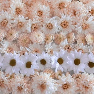 White Bouquet No.2