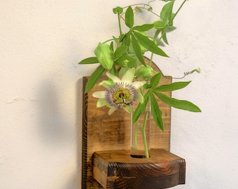 Rustic Wood Test Tube Planter: Hanging Wall Propagation Station; Cat Safe Plant Holder