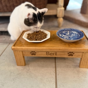 May include: A wooden cat feeding station with two bowls. One bowl is a white, octagonal dish filled with cat food. The other is a blue and white patterned ceramic bowl. The wooden platform has paw prints and the name "Bert" engraved.