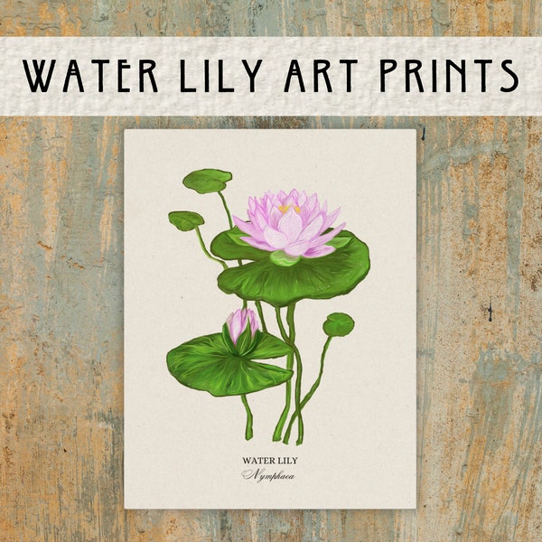 Water Lilly | Botanical Art | Textured Watercolor Matte Posters | 4 Sizes