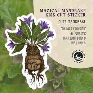 Puede incluir: Una pegatina de corte de beso con un lindo dibujo animado de mandrágora con flores moradas y raíces marrones. La pegatina tiene un fondo blanco y dice "Magical Mandrake Kiss Cut Sticker" y "Cute Mandrake".