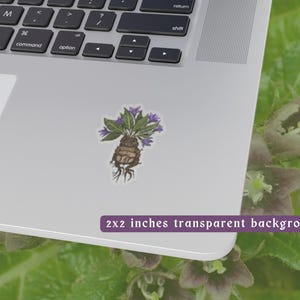 Magical Mandrake Kiss-Cut Stickers | Durable Vinyl Sticker | White & transparent Background Options | 4 Sizes image 3