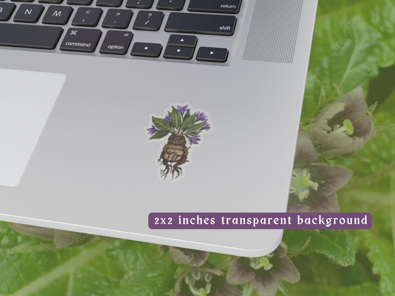 Magical Mandrake Kiss-Cut Stickers | Durable Vinyl Sticker | White & transparent Background Options | 4 Sizes image 3
