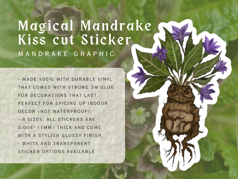 Magical Mandrake Kiss-Cut Stickers | Durable Vinyl Sticker | White & transparent Background Options | 4 Sizes image 2