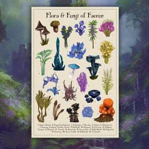 Könnte beinhalten: Ein rechteckiges Poster mit dem Titel Flora & Fungi of Faerum, das zweiundzwanzig nummerierte Illustrationen verschiedener Pflanzen und Pilze in Blau-, Lila-, Grün-, Gelb- und Orangetönen zeigt, mit einer Namensliste am unteren Rand.
