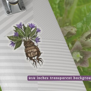 Magical Mandrake Kiss-Cut Stickers | Durable Vinyl Sticker | White & transparent Background Options | 4 Sizes image 5