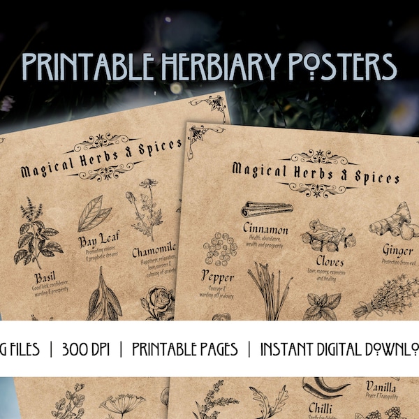 Printable Herbiary Posters | Green Witch & Cottage-core Decor | 2 x Posters | 3 Sizes | PNG Files | Digital Download