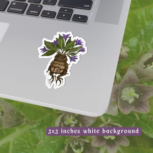 Magical Mandrake Kiss-Cut Stickers | Durable Vinyl Sticker | White & transparent Background Options | 4 Sizes image 4
