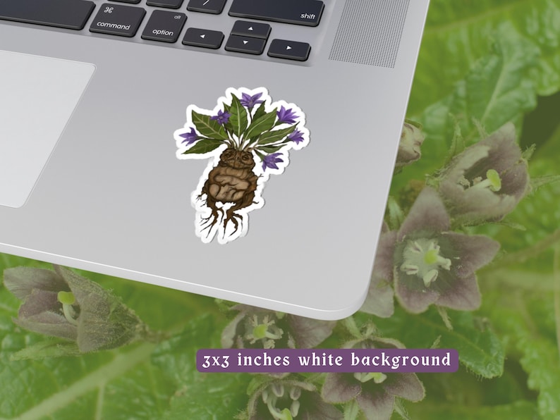 Magical Mandrake Kiss-Cut Stickers | Durable Vinyl Sticker | White & transparent Background Options | 4 Sizes image 4