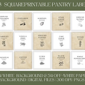 108 Printable Kitchen Labels | Minimal Square Pantry Labels | Kitchen ...