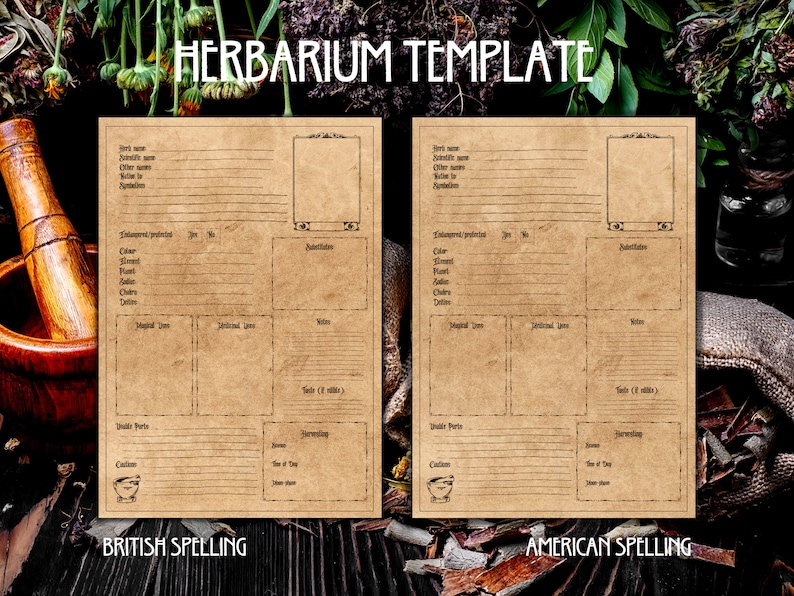 Printable Herbiary/herbarium Template | Green Witch Templates | Herb ...