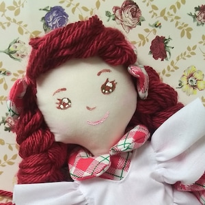 Anne of Green Gables/Anne with An E handmade doll - C