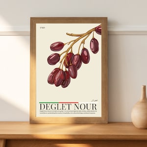 Kitchen Poster | Algeria Poster | Travel Souvenir | Gift Idea | Algeria Travel Print