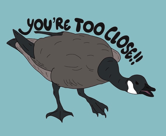 Goose Sticker / Angry Goose / Funny Sticker