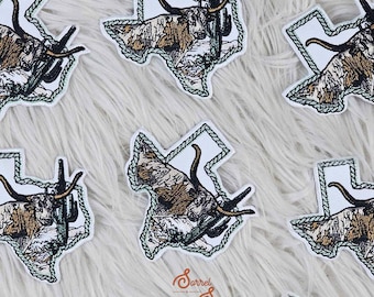 Texas Longhorn Iron On Patch, Country Patch, Cowgirl Patch, Trending Patch, Popular Patch, Rodeo, Western, Cow, Hat Bar, Boutique