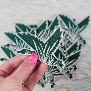May include: Embroidered green leaf patches with white detailing and a white border. The patches are in the shape of a leaf with a detailed design. The patches are on a white fluffy surface. The patches are approximately 3 inches in length.