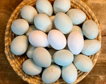 Dozen Fertilized Chicken Eggs / Free Range Chicken Eggs / Easter Eggers Rainbow Eggs