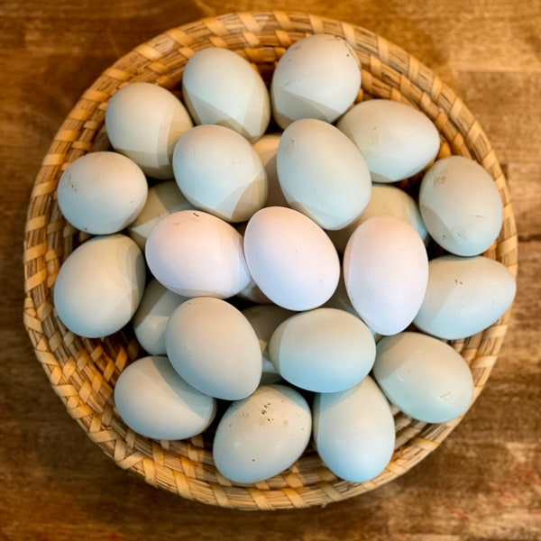 Dozen Fertilized Chicken Eggs / Free Range Chicken Eggs / Easter Eggers Rainbow Eggs