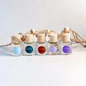 Car Diffuser | Hanging Diffuser | Car Accessories | Freshies