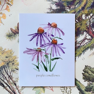 Aquarelle d'échinacée pourpre | Carte d'art botanique | Carte vierge florale 4 x 6