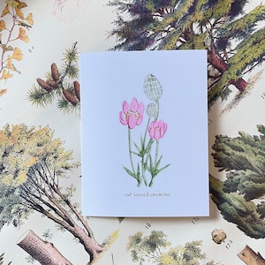 Aquarelle d'anémone à feuilles coupées | Carte d'art botanique | Carte vierge florale 4 x 6