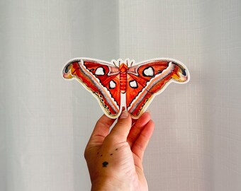 May include: A colorful sticker featuring a detailed illustration of an Atlas moth. The moth has vibrant red, orange, and white markings on its large wings. The sticker is held against a white background.