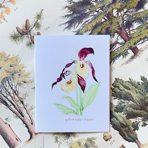 Aquarelle de pantoufle de dame jaune | Carte d'art botanique | Carte vierge florale 4 x 6