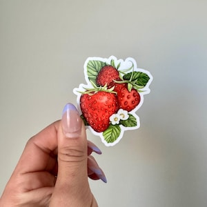 Waterproof vinyl strawberry sticker with flowers