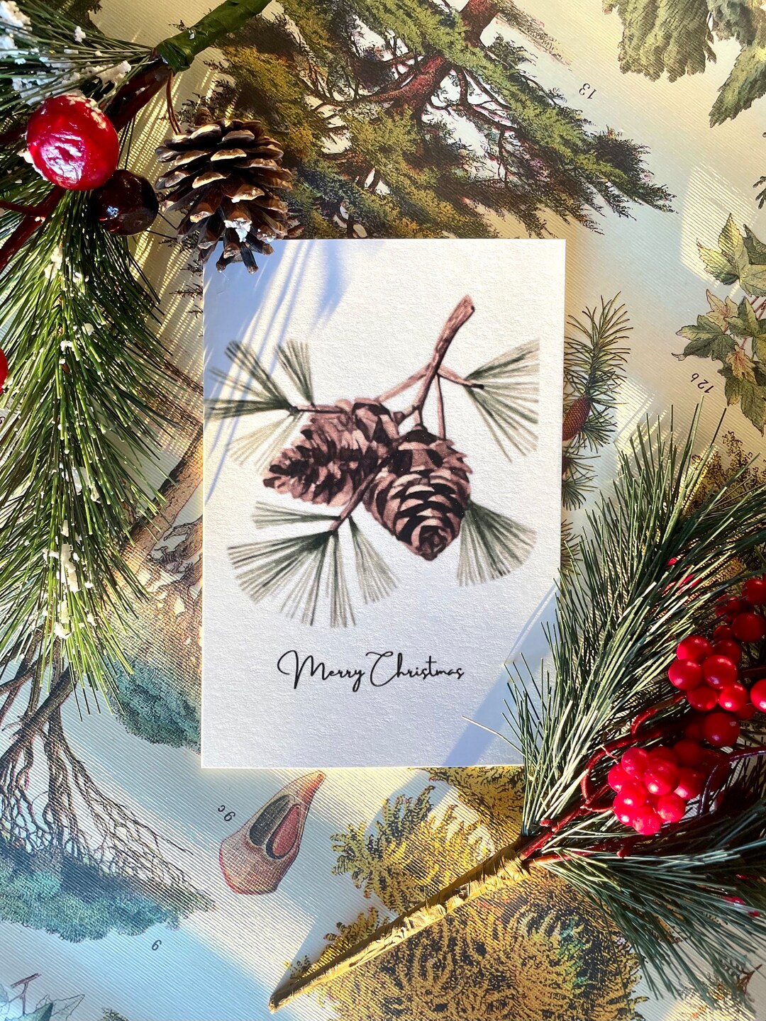 Pine Tree and Pine Cones Christmas Card - Etsy